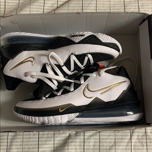 LeBron 17 Low DS